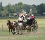 GAUCHOS - cowboy argentinian