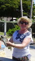 Turul insulei Cayman şi relaxare la Tiki Beach Combo