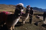 Lima – Paracas – Nazca – Chala – Arequipa – Sillustani – Puno – Titicaca Pucara – Raqchi – Andahuaylillas – Cusco – Valle Sagrado de los Incas – Aguas Callentes – Machu Picchu