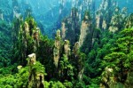 Chengdu – Kunming – Shilin – Drumul Ceaiului – Yunnan – Dali  Xizhou – Lijiang – Baisha – Croazieră pe Râul Yangtze: Chongqing  Fengdu – Shibaozhai  – Defileele Qutang – Wuxia – Xiling – Yichang  Parcul Național Zhangjiajie – Zhangjiajie – Shanghai