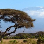 Nairobi – Parcul Naţional Mount Kenya – Rezervaţia Națională Samburu – Parcul Naţional Nakuru – Lacul Naivasha – Rezervaţia Maasai Mara – Parcul Naţional Serengeti – Olduvai – Craterul Ngorongoro – Lacul Manyara – Arusha – Zanzibar
