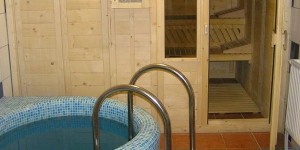 Pensiunea PRAID - sauna