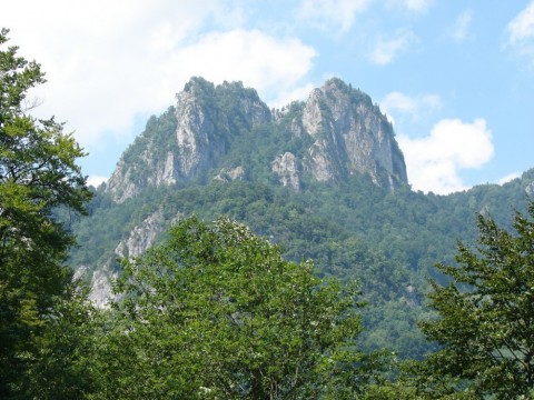 Muntii Capatanii