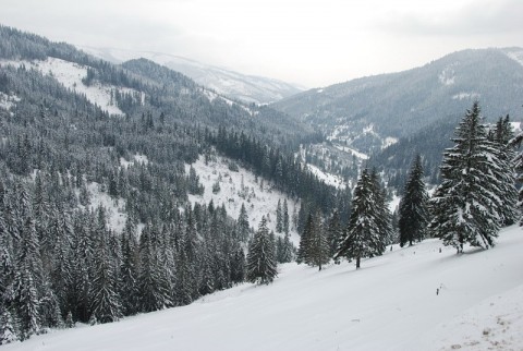 Muntii Gurghiu
