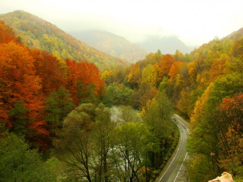 Defileul Jiului