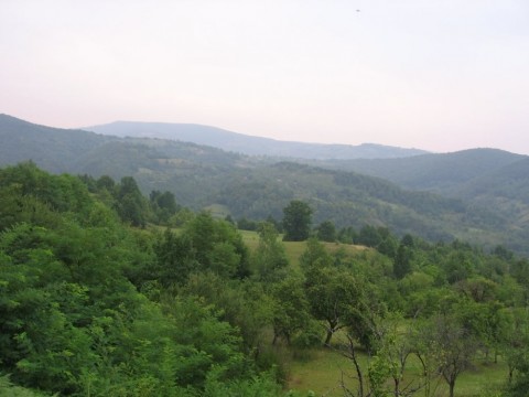 Muntii Codru-Moma