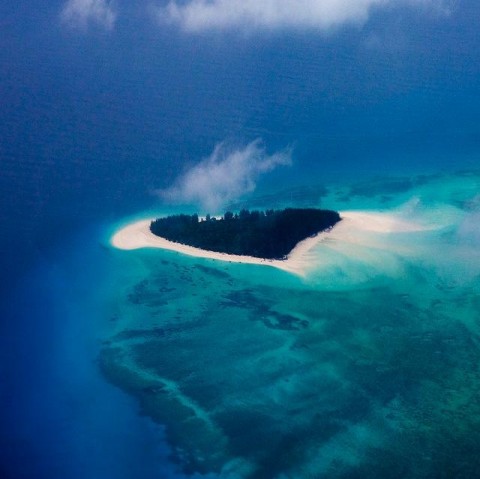 Insula Mnemba, Tanzania