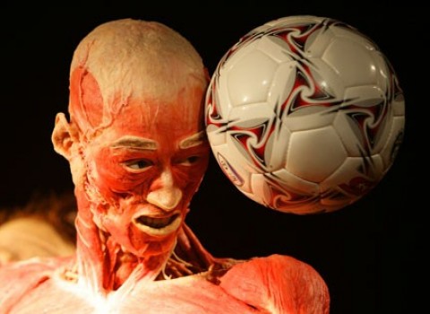 Bodies: The Exhibition