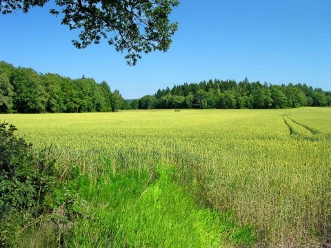 Peisaj la sud de Stockholm, Suedia