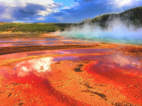 Yellowstone, SUA