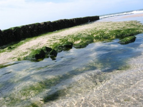 Beach- on Sylt Island, Germany