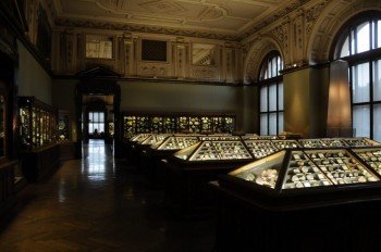 Muzeul de istorie naturala, Viena