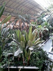 gradina botanica din gara Atocha