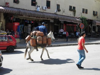 Poarta Bab Boujeloud - Fez, Maroc