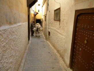 Medina (istorie, culoare şi mirosuri)- Fez, Maroc