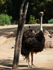 Parcul Ciutadella si Gradina Zoologica din Barcelona