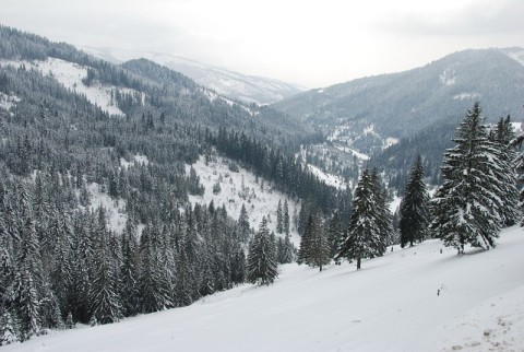 Muntii Gurghiu