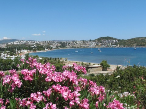 Bodrum