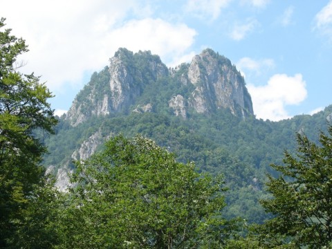 Muntii Capatanii