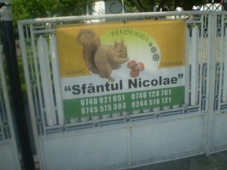 Pensiunea Sfântul Nicolae din Aluniș