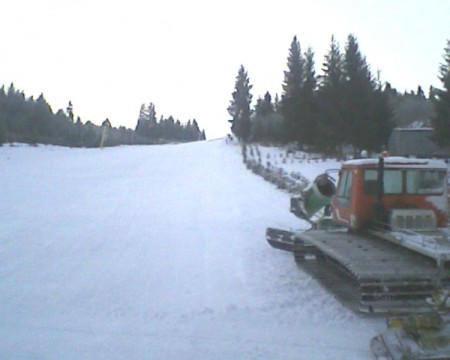 Partia de ski Bradul 