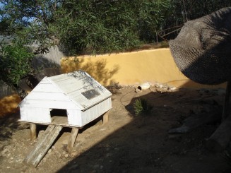 Tunisia, o alta lume