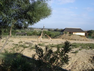 Tunisia, o alta lume