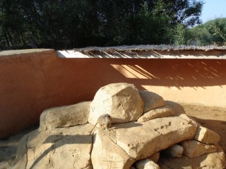 Tunisia, o alta lume