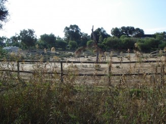 Tunisia, o alta lume