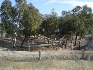 Tunisia, o alta lume