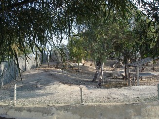 Tunisia, o alta lume