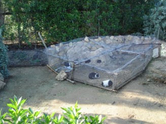 Tunisia, o alta lume