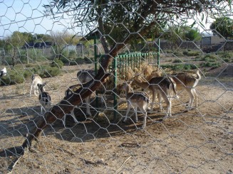 Tunisia, o alta lume