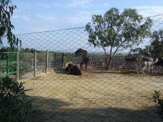 Tunisia, o alta lume