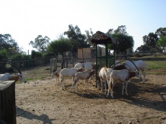 Tunisia, o alta lume