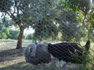 Tunisia, o alta lume