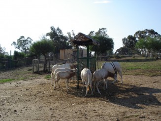 Tunisia, o alta lume