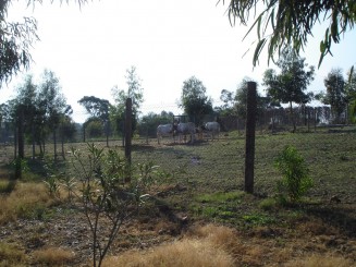 Tunisia, o alta lume