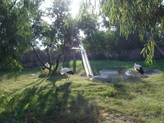 Tunisia, o alta lume