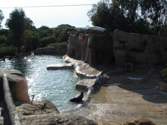 Tunisia, o alta lume