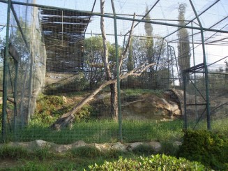 Tunisia, o alta lume