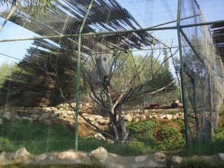 Tunisia, o alta lume