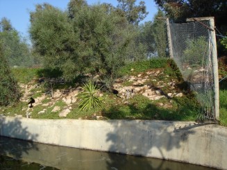 Tunisia, o alta lume