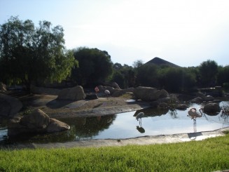 Tunisia, o alta lume