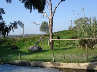 Tunisia, o alta lume
