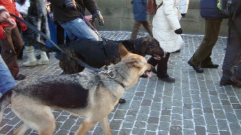 praga un oras de vis