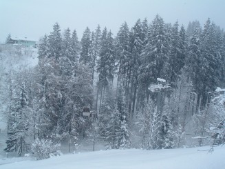 O minivacanta reusita...