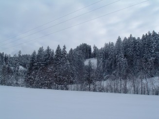 O minivacanta reusita...