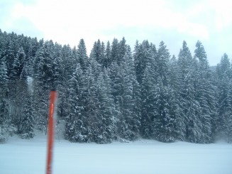 O minivacanta reusita...