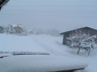 O minivacanta reusita...